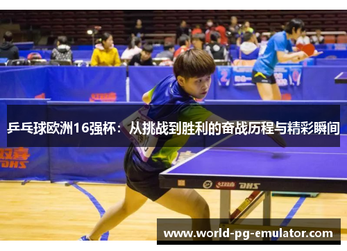 乒乓球欧洲16强杯：从挑战到胜利的奋战历程与精彩瞬间