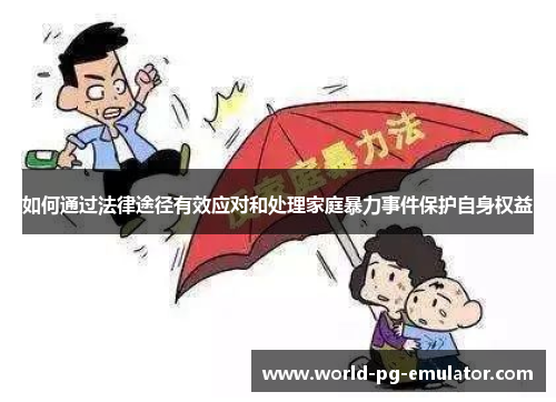 如何通过法律途径有效应对和处理家庭暴力事件保护自身权益