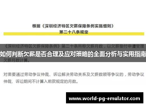 如何判断欠薪是否合理及应对策略的全面分析与实用指南