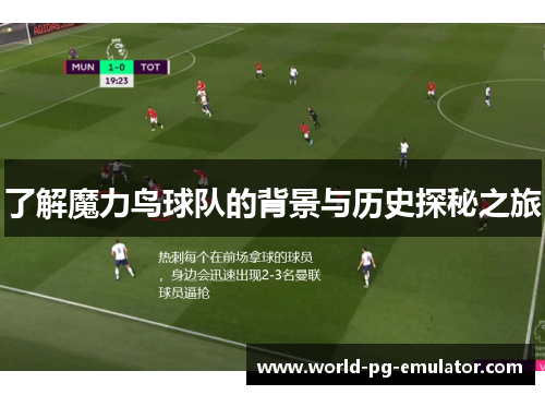 了解魔力鸟球队的背景与历史探秘之旅