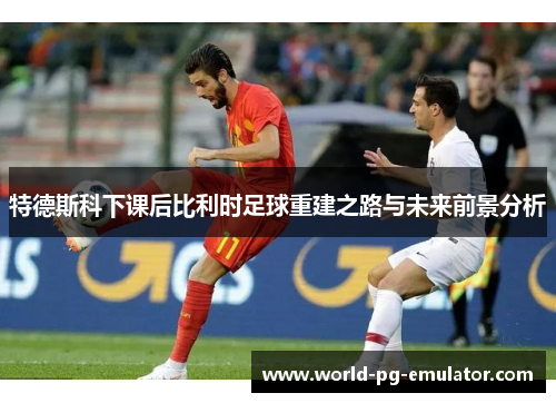特德斯科下课后比利时足球重建之路与未来前景分析 特德斯科下课后比利时足球重建之路与未来前景分析