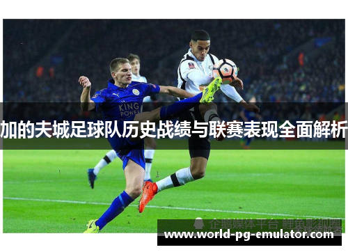 加的夫城足球队历史战绩与联赛表现全面解析 加的夫城足球队历史战绩与联赛表现全面解析
