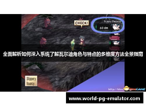 全面解析如何深入系统了解瓦尔迪角色与特点的多维度方法全景指南