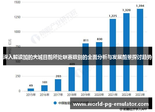 深入解读加的夫城目前所处联赛级别的全面分析与发展前景探讨趋势