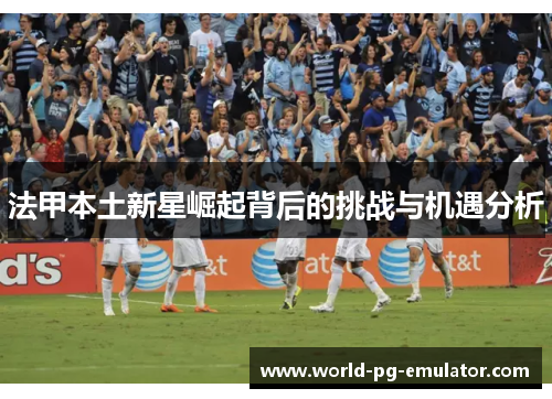 法甲本土新星崛起背后的挑战与机遇分析