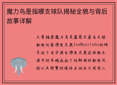 魔力鸟是指哪支球队揭秘全貌与背后故事详解